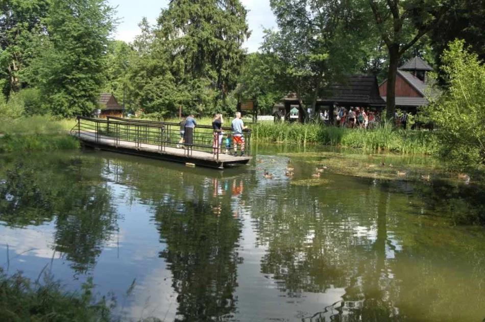 Podczas pikniku poznawali gorczańską przyrodę - zdjęcie 18