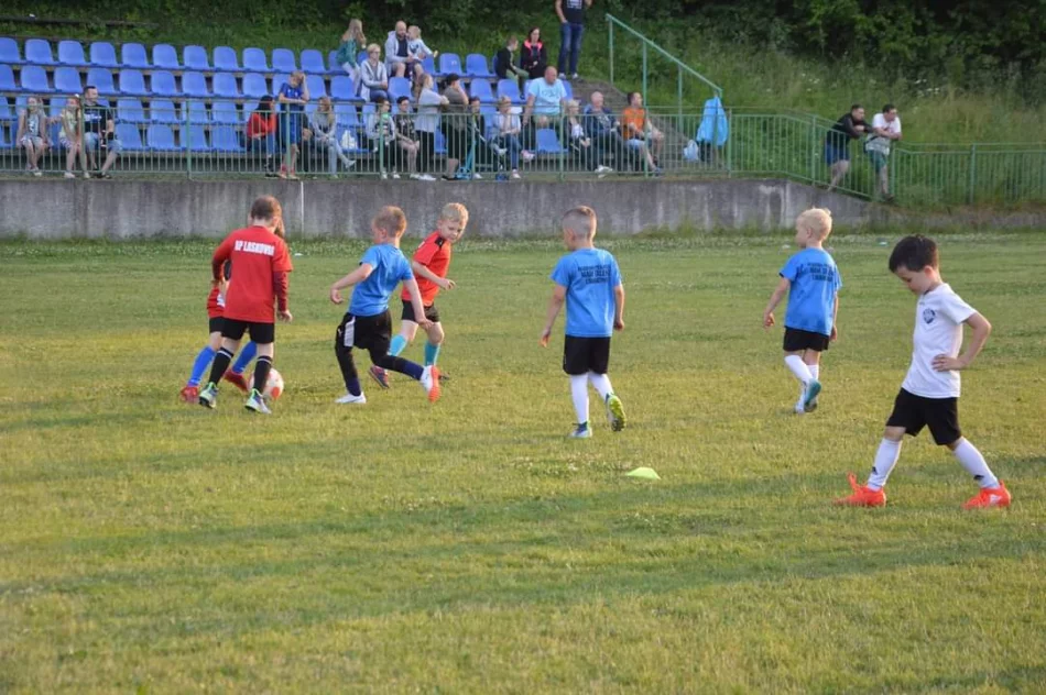 Mordarka aktywna, ciekawie na stadionie - zdjęcie 3