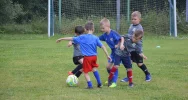 Mordarka aktywna, ciekawie na stadionie - zdjęcie 4