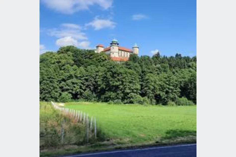 Limanowa Cup: zacięta rywalizacja i promocja dla miasta - zdjęcie 9