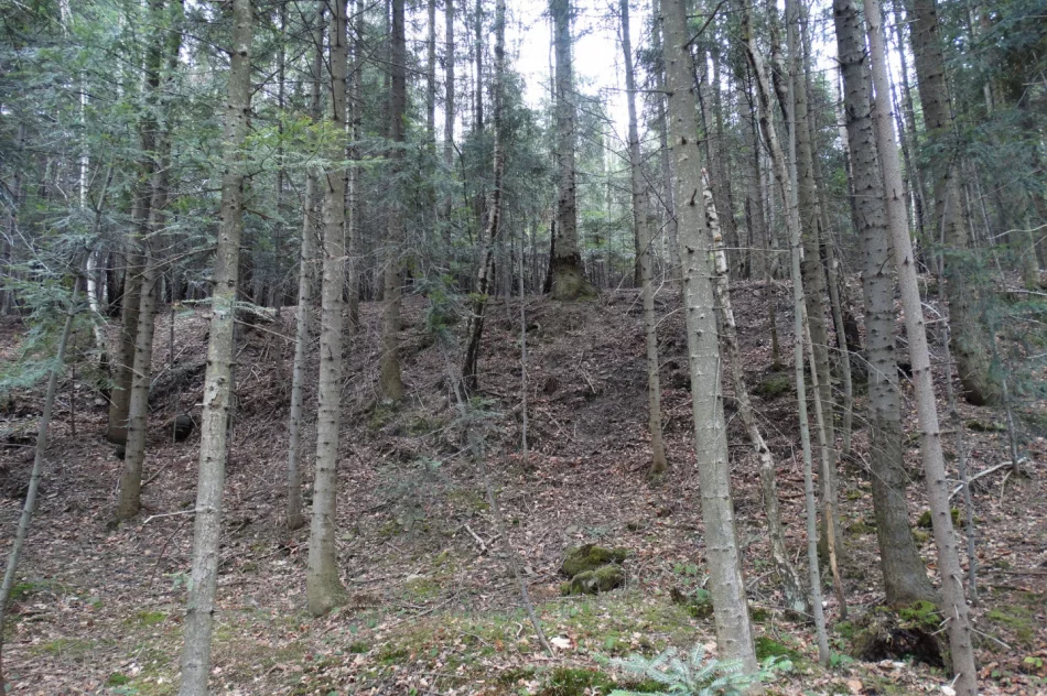 Tajemnica zaginionej wsi Janina - zdjęcie 4