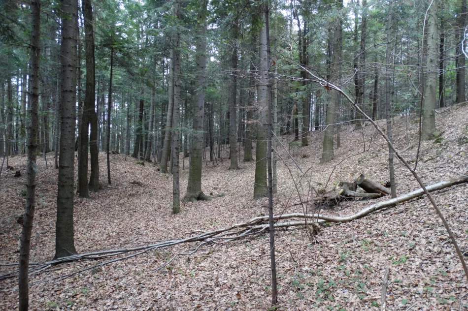 Tajemnica zaginionej wsi Janina - zdjęcie 5