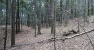 Tajemnica zaginionej wsi Janina - zdjęcie 5