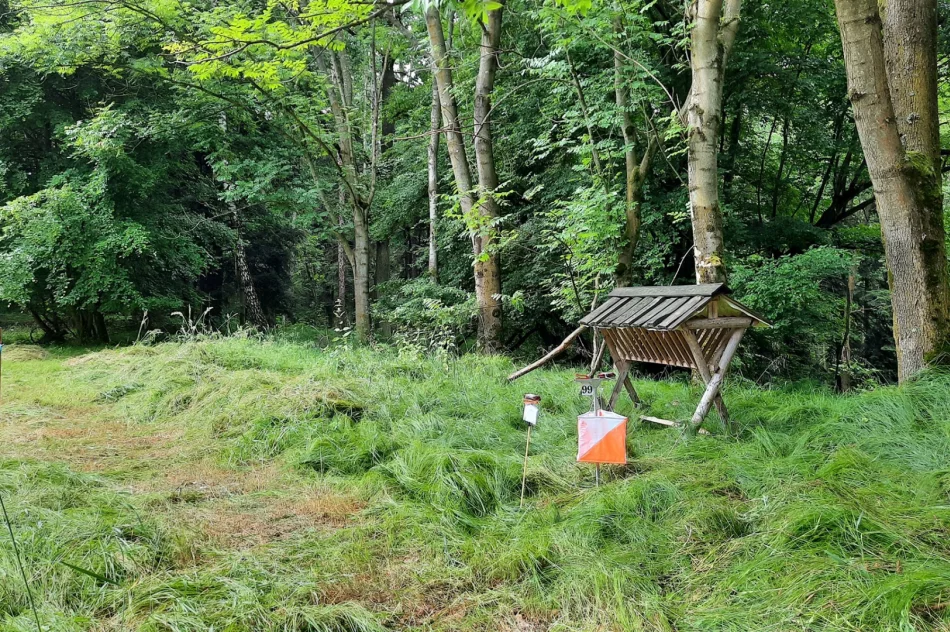 „XVIII LIMANOWA CUP” W Nowym Wiśniczu - zdjęcie 18