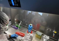 Kwarantanna dla zaszczepionych? Rzecznik MZ zabiera głos. Nowy wariant "Lambda" - zdjęcie główne