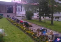 Ukwiecanie „Mechanika” - zdjęcie główne