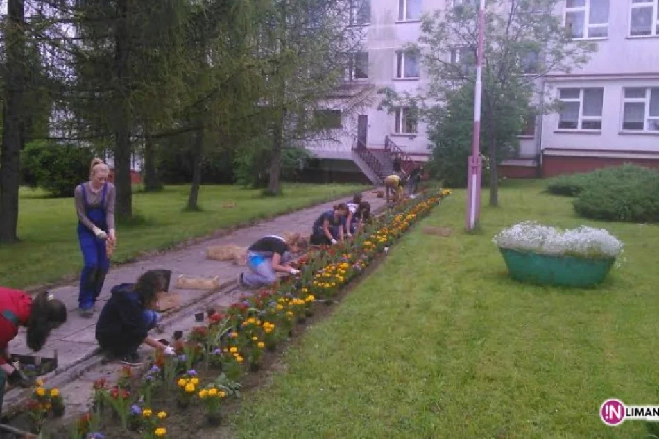 Ukwiecanie „Mechanika” - zdjęcie 2