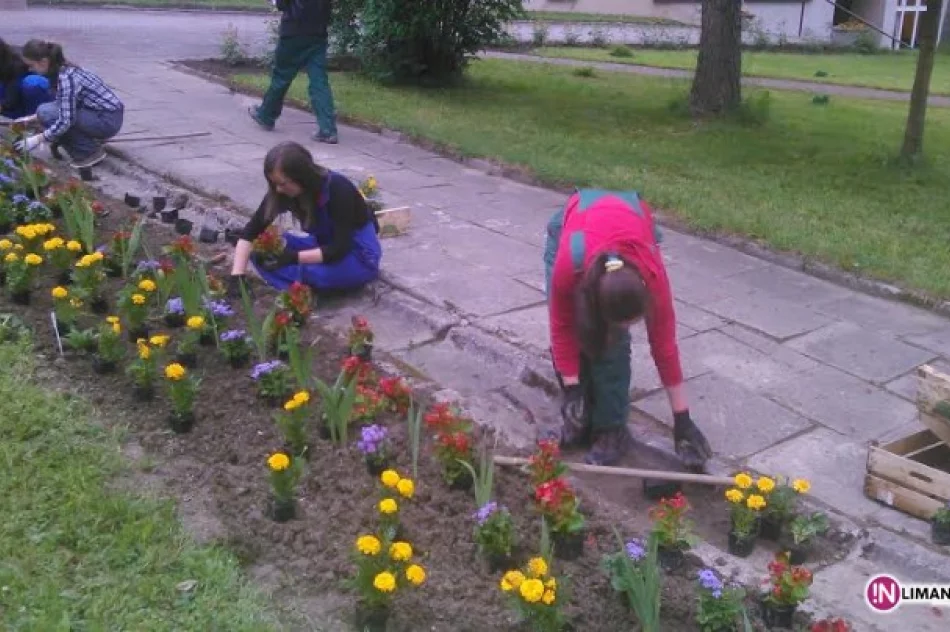 Ukwiecanie „Mechanika” - zdjęcie 3