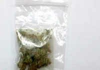 Podróż zakończona w areszcie - zdjęcie główne