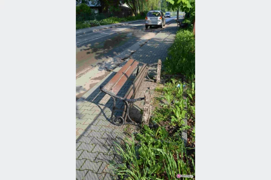 Głupota nie  zna granic - zdjęcie 2