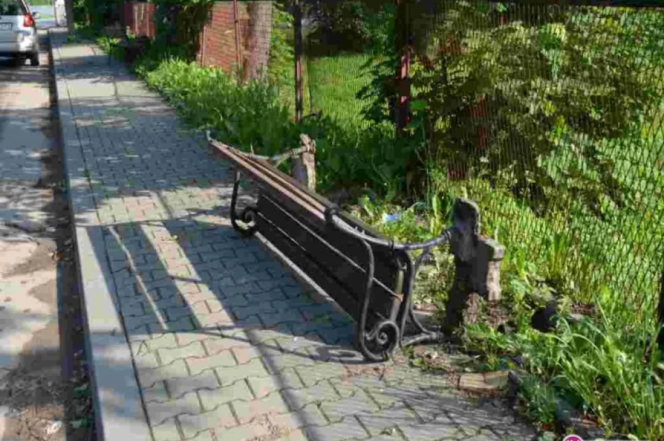 Głupota nie  zna granic - zdjęcie 4