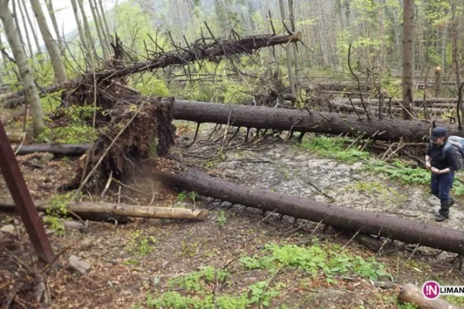 BESKIDZKIE CAMINO  -  relacja - zdjęcie 3
