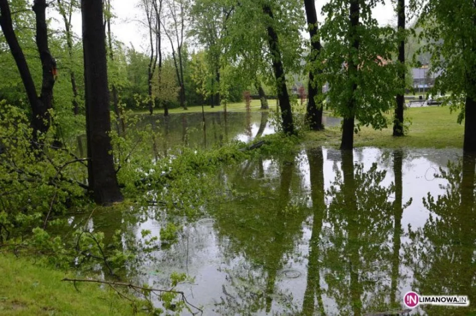 Wysoki rachunek za noc grozy - zdjęcie 2