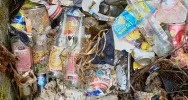 Odpowiedzieli na apel i posprzątali rzekę - zdjęcie 5