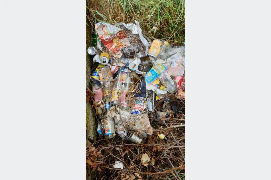 Odpowiedzieli na apel i posprzątali rzekę - zdjęcie 5