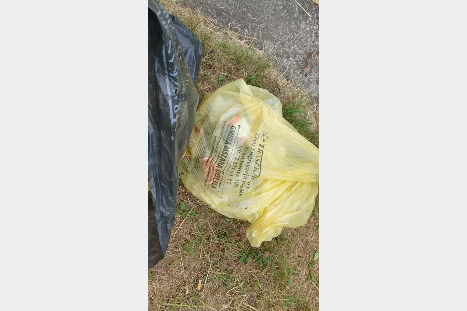 Odpowiedzieli na apel i posprzątali rzekę - zdjęcie 6