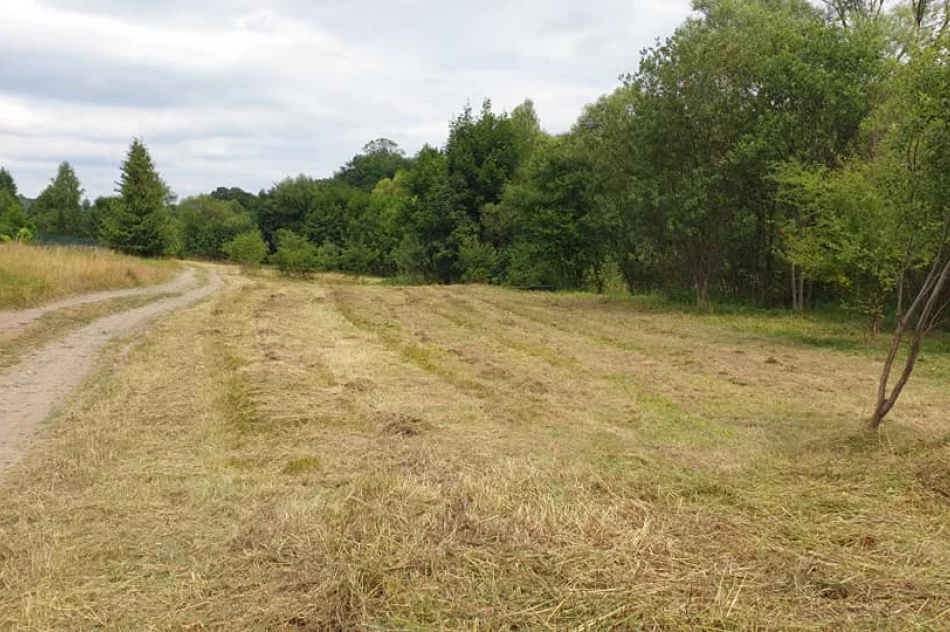 Odpowiedzieli na apel i posprzątali rzekę - zdjęcie 14