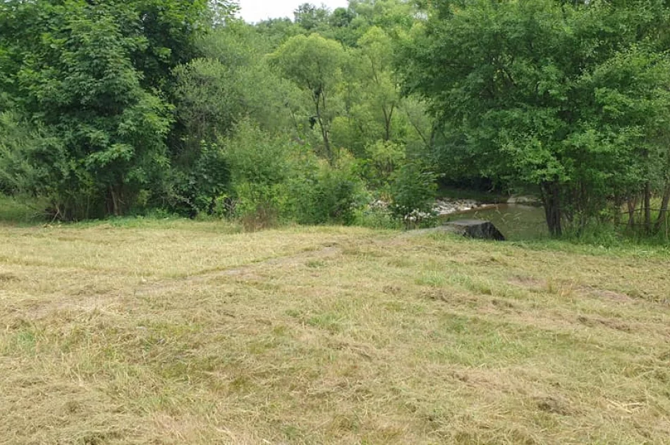 Odpowiedzieli na apel i posprzątali rzekę - zdjęcie 16