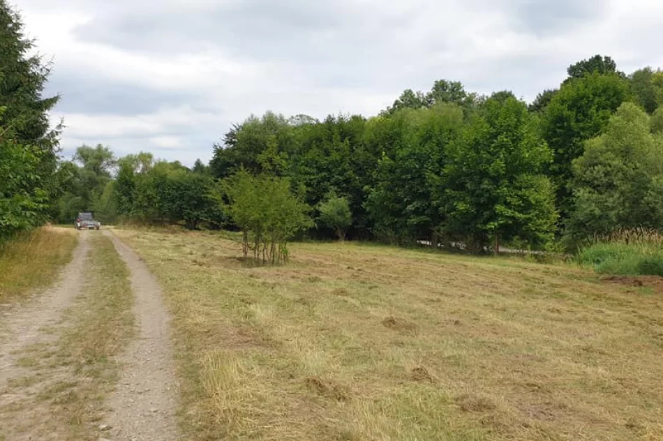 Odpowiedzieli na apel i posprzątali rzekę - zdjęcie 17