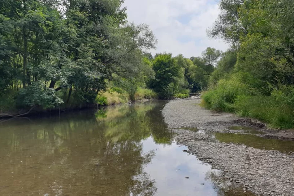 Odpowiedzieli na apel i posprzątali rzekę - zdjęcie 20