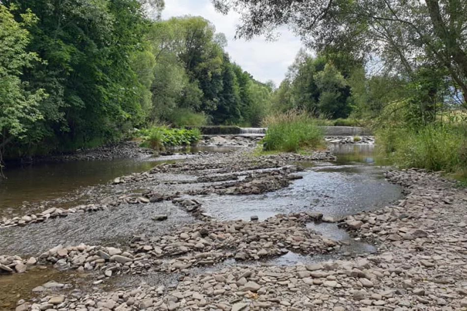 Odpowiedzieli na apel i posprzątali rzekę - zdjęcie 2