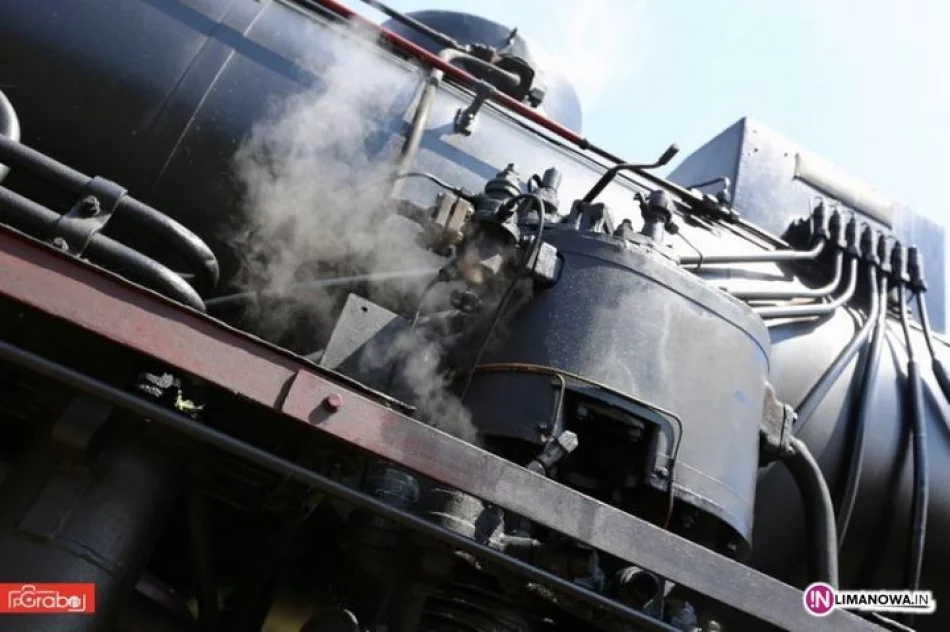 Przejazd pociągu retro i tłumy - zdjęcie 2