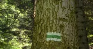 Zielony szlak wreszcie czysty - zdjęcie 4