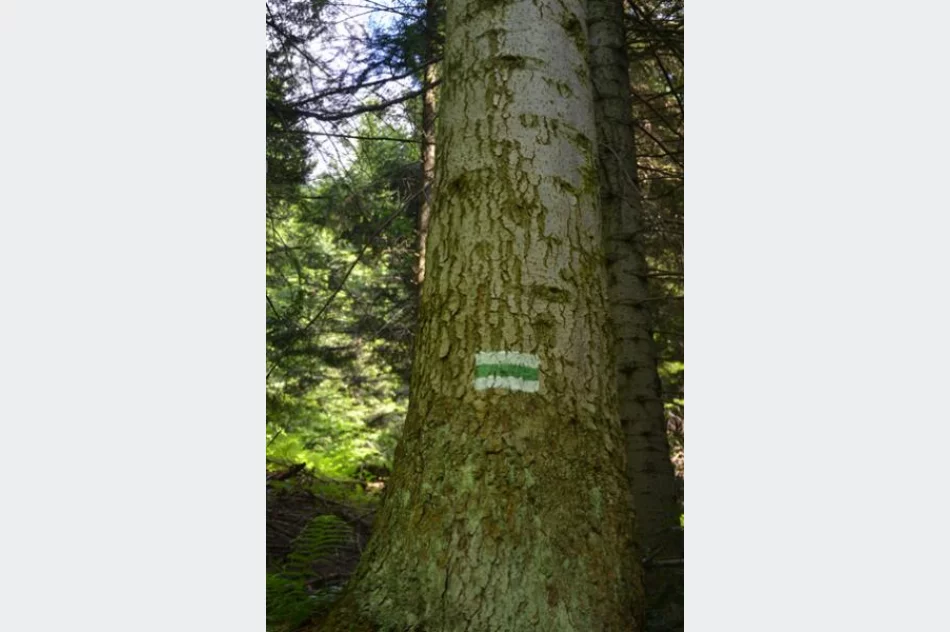 Zielony szlak wreszcie czysty - zdjęcie 4