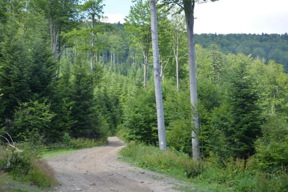 Zielony szlak wreszcie czysty - zdjęcie 6