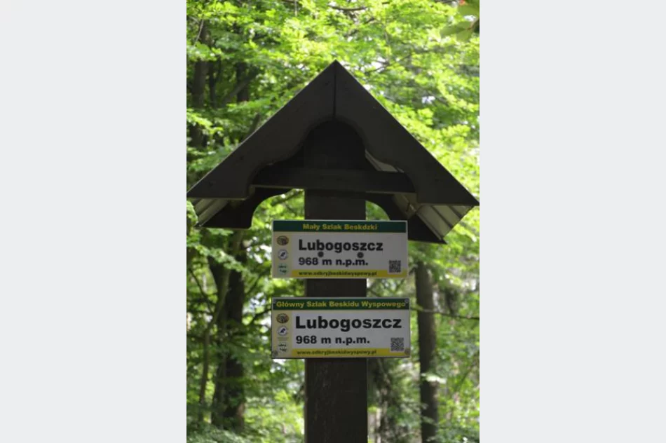 Zielony szlak wreszcie czysty - zdjęcie 8