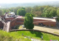 Uczniowie ZS nr 1 w Wielkim Finale! - zdjęcie główne