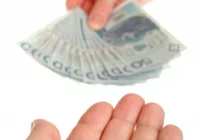 Młodzi zakładają własne firmy - zdjęcie główne