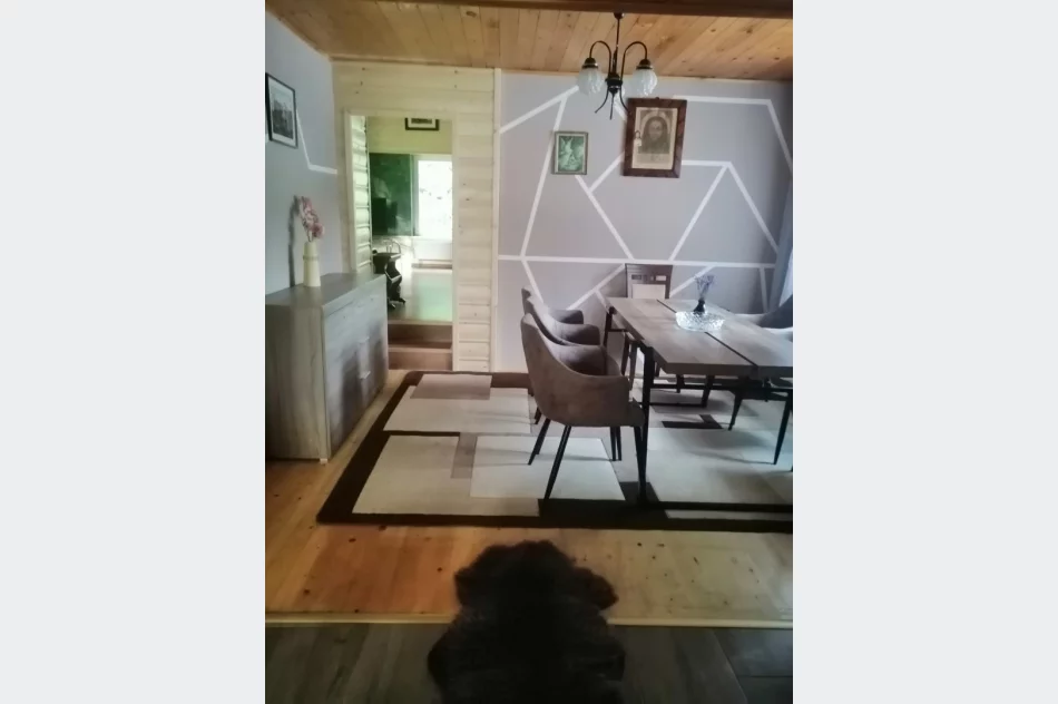 Domek kwatery noclegi lokal - zdjęcie 2