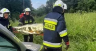 Potrącenie w trudnym terenie - to scenariusz ćwiczeń druhów - zdjęcie 5