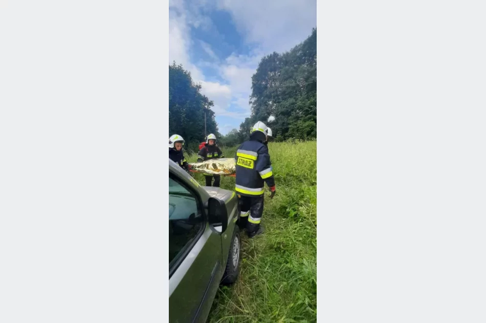 Potrącenie w trudnym terenie - to scenariusz ćwiczeń druhów - zdjęcie 5