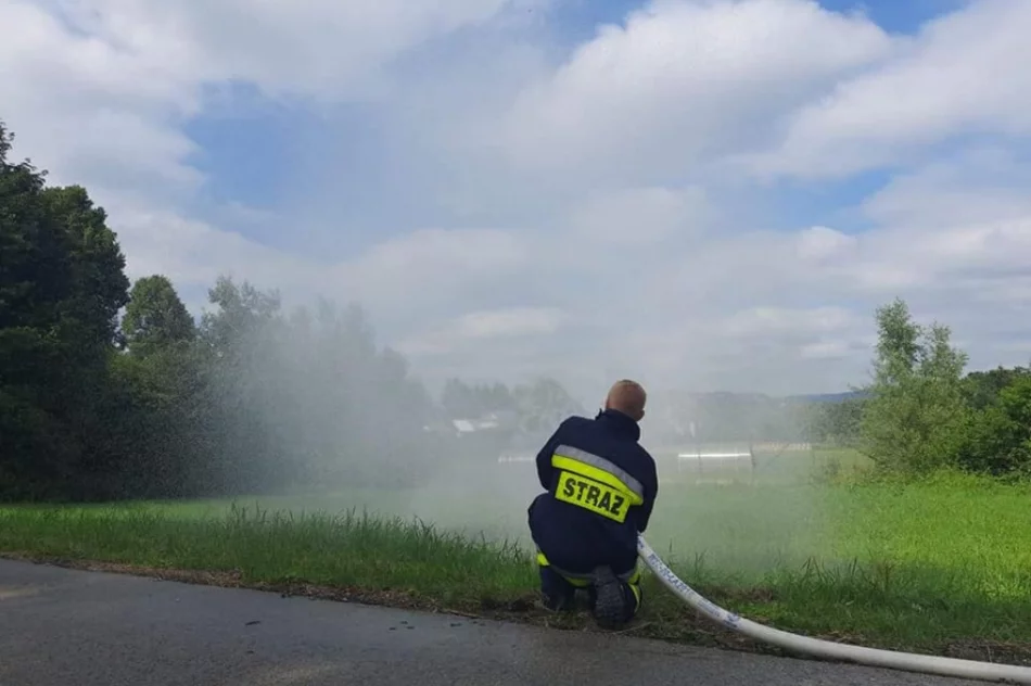 Potrącenie w trudnym terenie - to scenariusz ćwiczeń druhów - zdjęcie 16