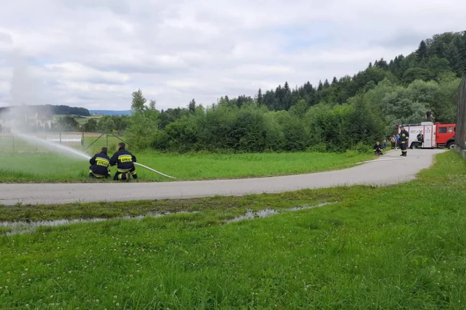 Potrącenie w trudnym terenie - to scenariusz ćwiczeń druhów - zdjęcie 18