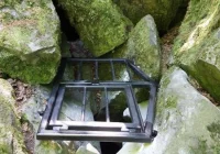 Zadbali o siedliska rzadkich gatunków nietoperzy - zdjęcie główne