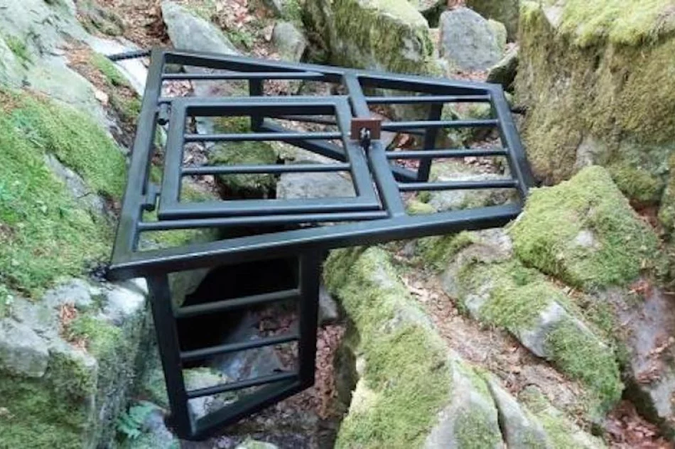 Zadbali o siedliska rzadkich gatunków nietoperzy - zdjęcie 2