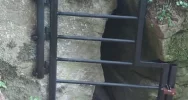 Zadbali o siedliska rzadkich gatunków nietoperzy - zdjęcie 3