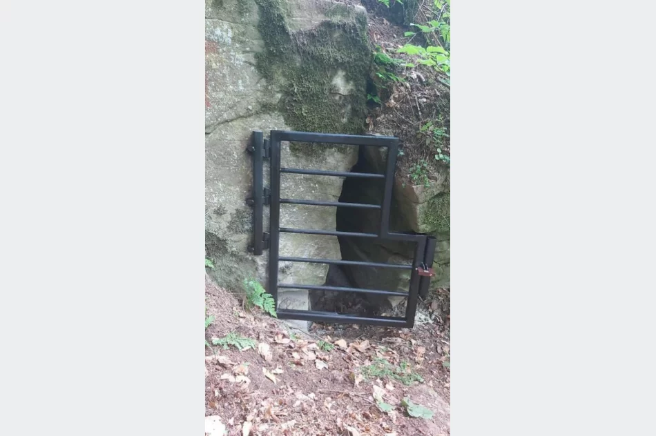 Zadbali o siedliska rzadkich gatunków nietoperzy - zdjęcie 3