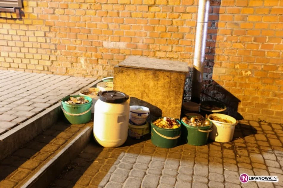 Resztki jedzenia oraz szczury - zdjęcie 2