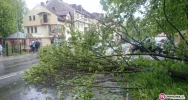 Połamane drzewa, zalane piwnice. Więcej interwencji - zdjęcie 2