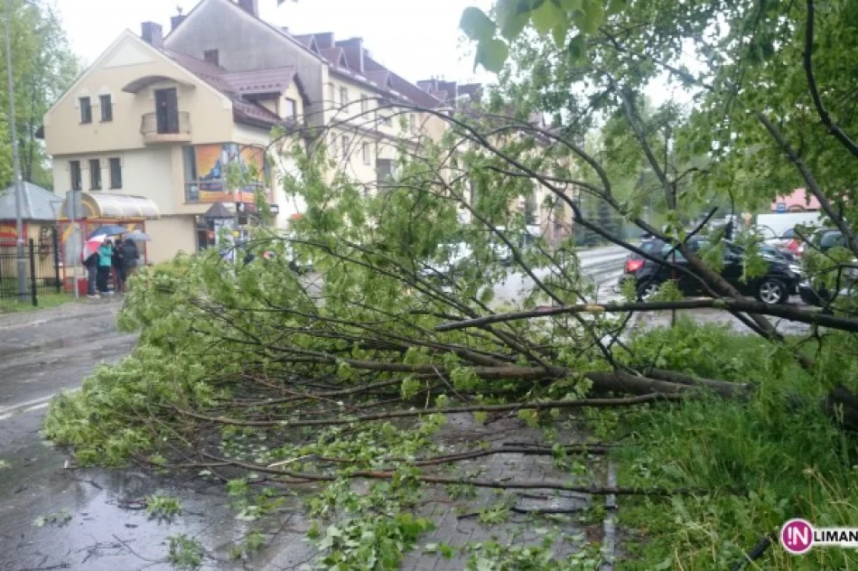 Połamane drzewa, zalane piwnice. Więcej interwencji - zdjęcie 2