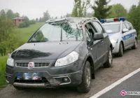 Dachowanie fiata - zdjęcie główne