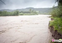 Groźne prognozy. Podobnie jak w 2010? - zdjęcie główne