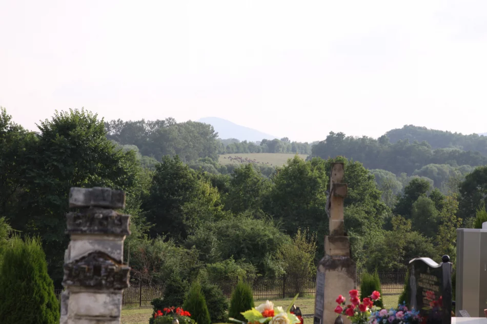 Spacer przedstawił historię miejscowości - zdjęcie 6