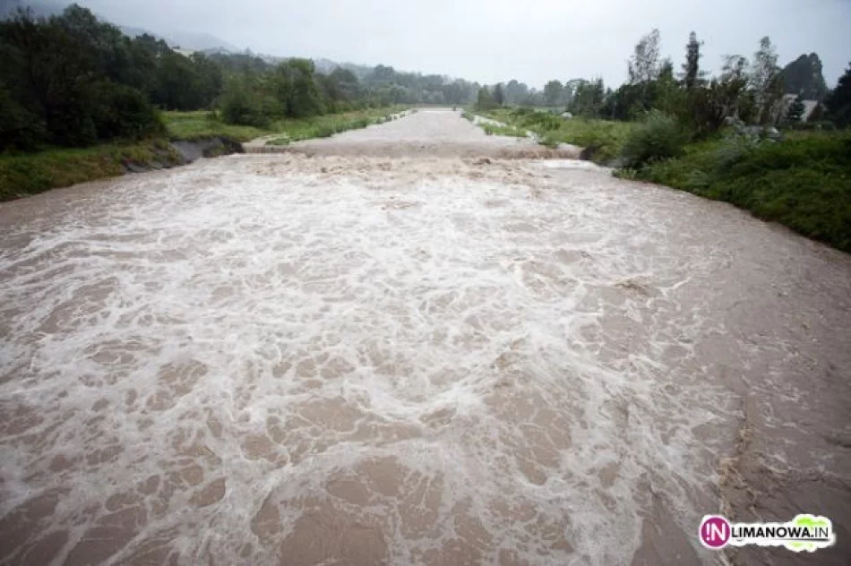 Groźne prognozy. Podobnie jak w 2010? - zdjęcie 2