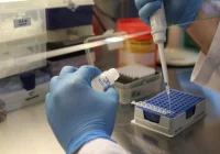 W Polsce jest 185 osób w Polsce zakażonych wariantem delta koronawirusa. "Stabilizacja zakażeń odchodzi w przeszłość" - zdjęcie główne