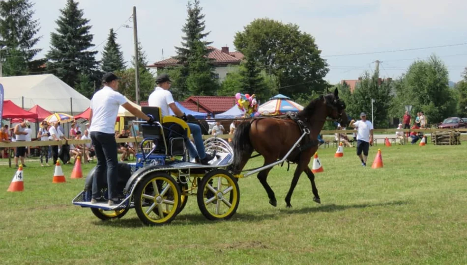 Zbliża się doroczny konkurs powożenia i festyn - zdjęcie 1